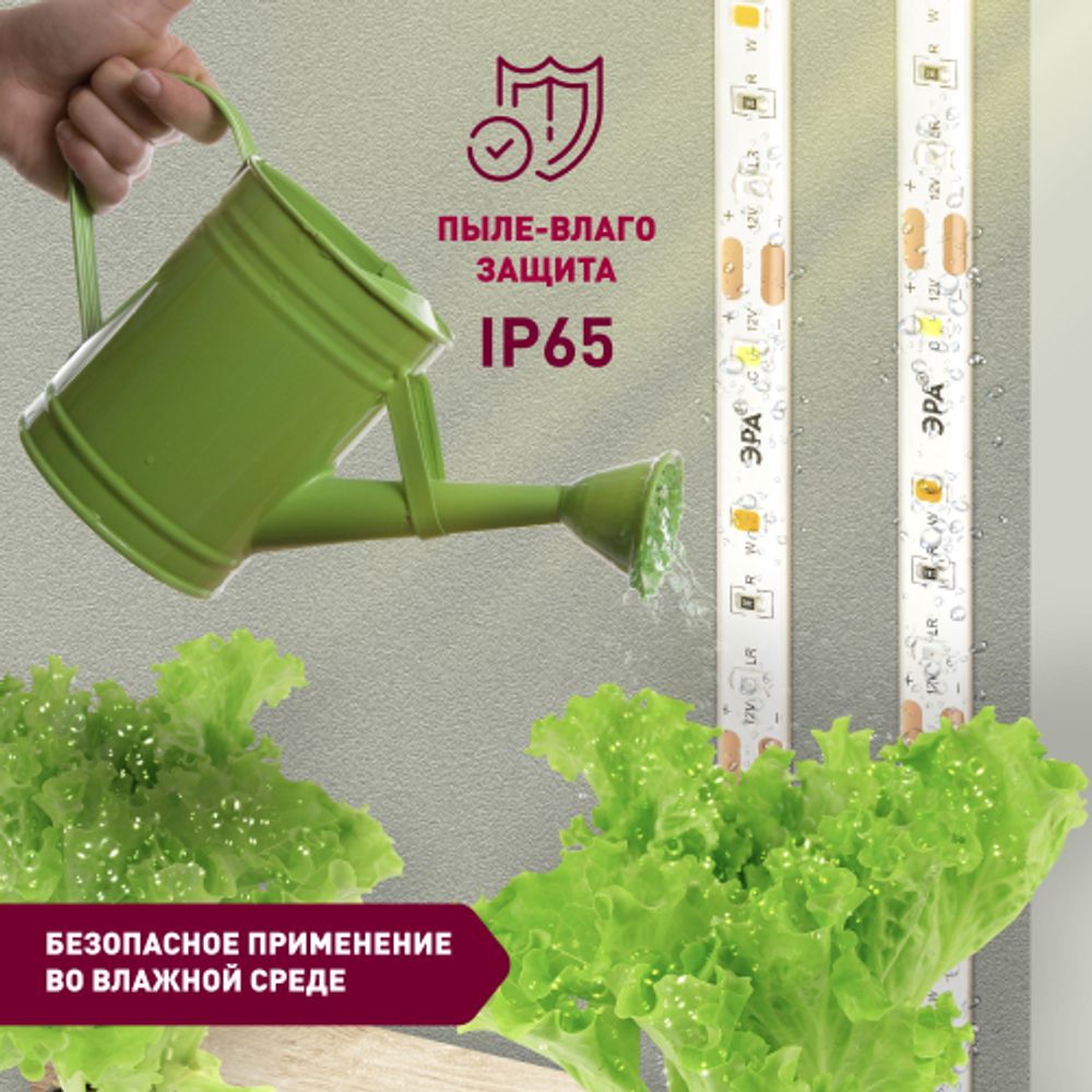 Светодиодная лента для растений ЭРА FITO-Strip Light-Rа90-3m полного спектра 3м IP65, с адаптером 12V в комплекте