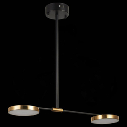 Светильник на штанге ST-Luce SL1605.403.02