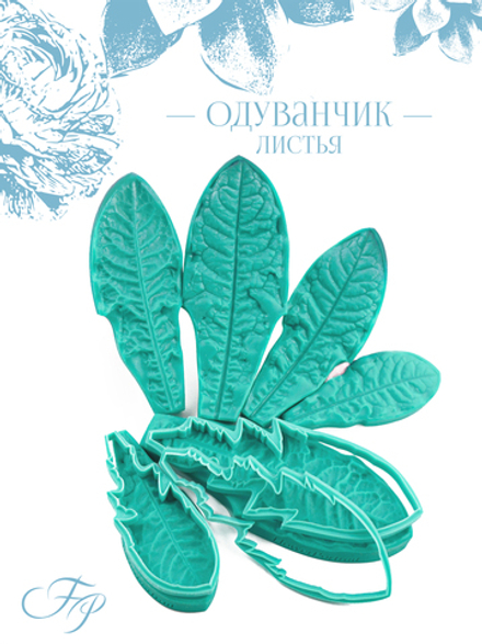 Одуванчик листья