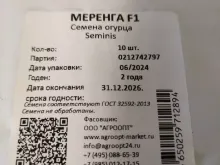 МЕРЕНГА F1 семена огурца (Seminis | Alexagro)