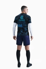 Футболка Nike Inter Milan 25/26 Academy Pro - черный