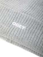 Шапка Future Beanie