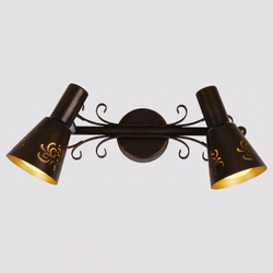 Спот Citilux CL529521