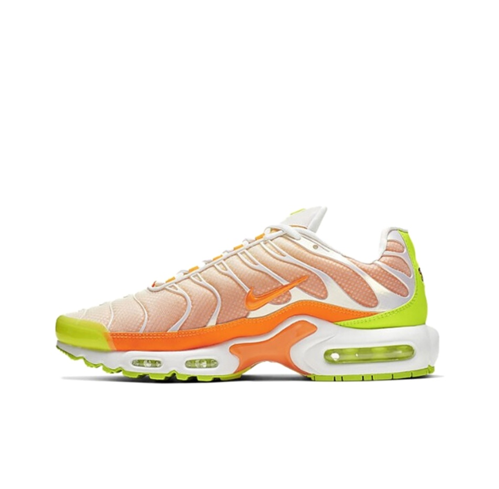 Мужские кроссовки Nike Air Max Plus 'Color Flip' CI5924-531