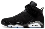 Кроссовки Jordan Air Jordan 6 Retro "Metallic Silver"