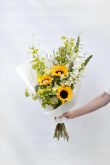 Sunflower’s field