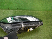 DSCN7209.jpg