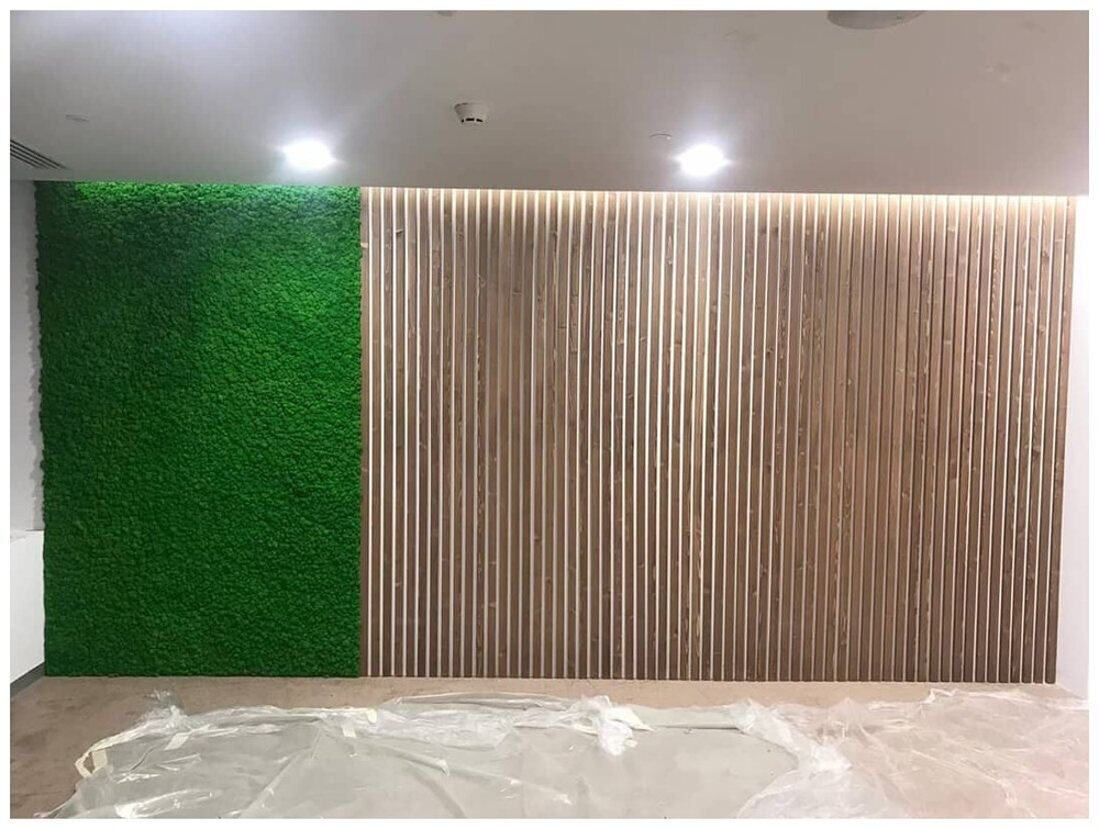 Панно из мха Ягель