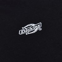  Толстовка мужская Dickies Summerdale Hoodie  артикул:DK0A4Y6PBLK1 - купить в магазине Дайс