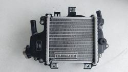 19100-KWN-900. RADIATOR ASSY. HONDA. PCX125