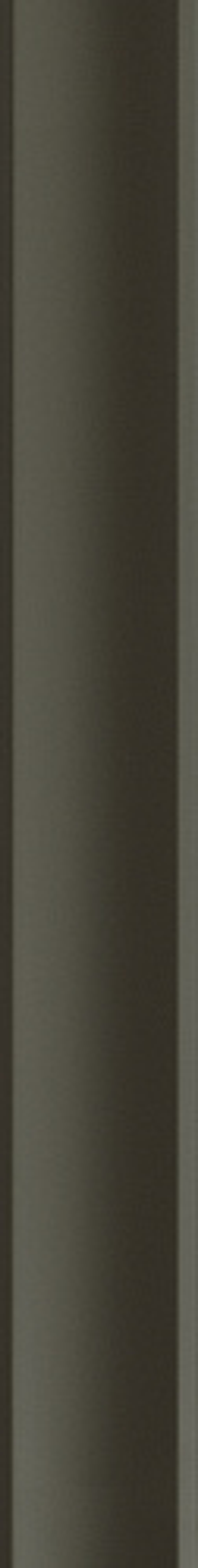 Керамическая плитка для стен WOW FACES Valley Pine 5х40