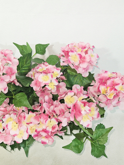 Гортензия розовая 35см в балконном ящике