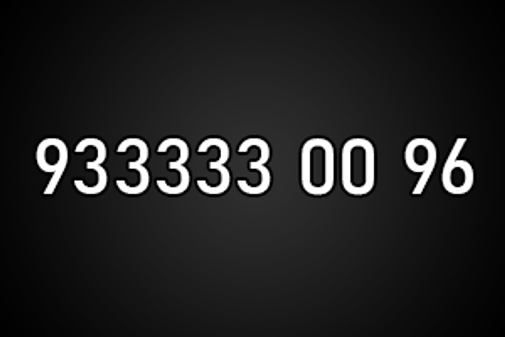 9333330096