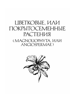 Жизнь растений. В 6-ти томах. Том 6: Цветковые растения | А.Л. Тахтаджян