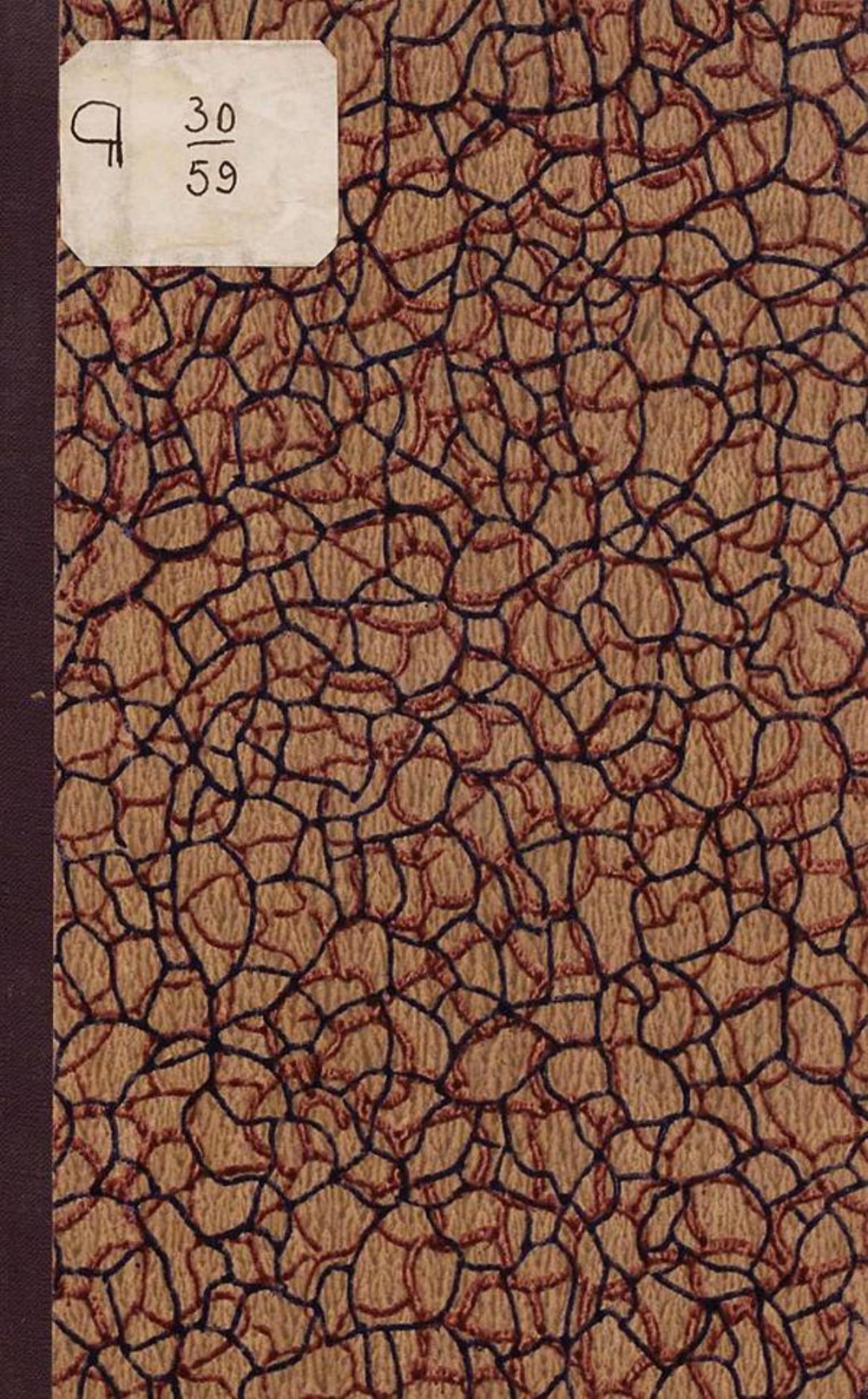 О длине нижней конечности у казаков | Иванова И. И.