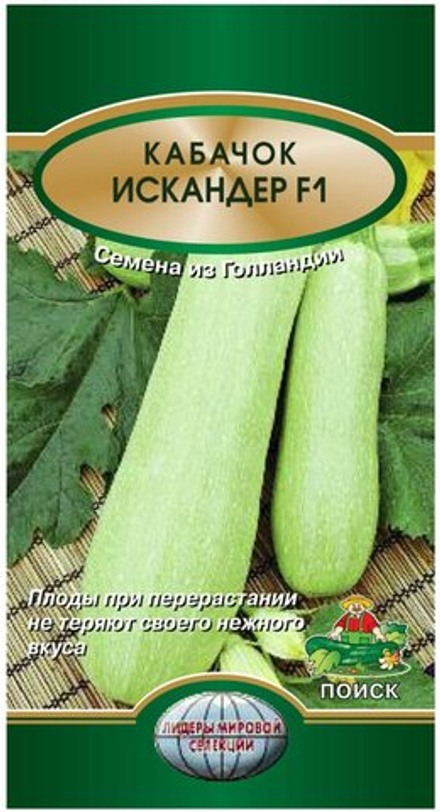 Кабачок Искандер F1