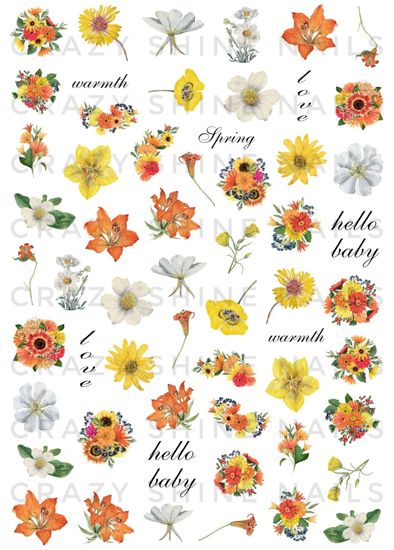 Слайдер-дизайн Crazy Shine Nails mini: Весна