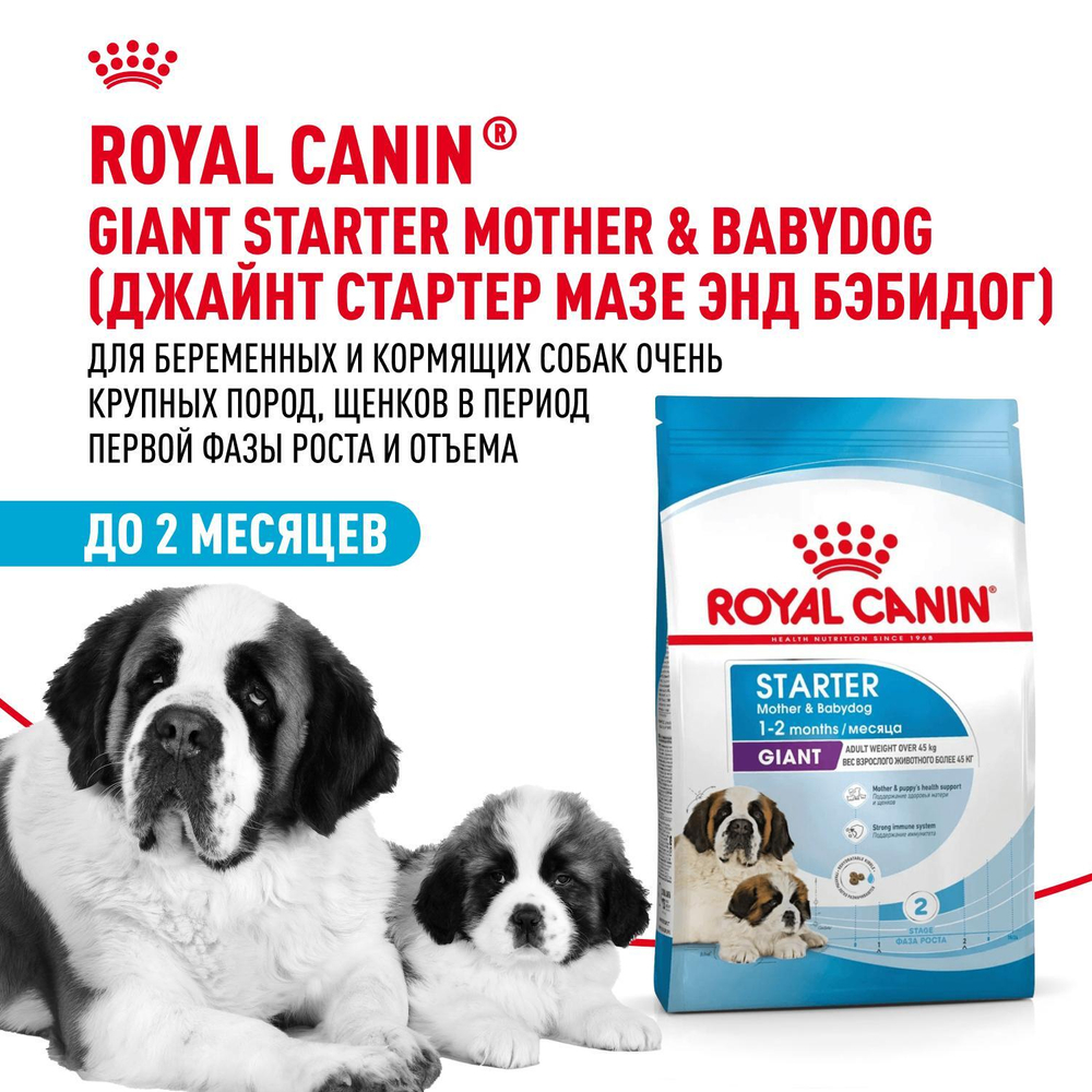 Royal Canin Giant Starter Корм для щенков гигантских пород до 2-х месяцев беременных и кормящих собак 4 кг
