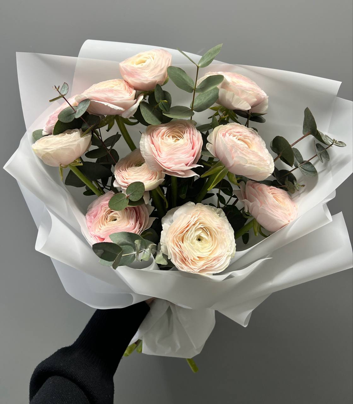 Букет светло-розовых Ранункулюсов с эвкалиптом (11шт)