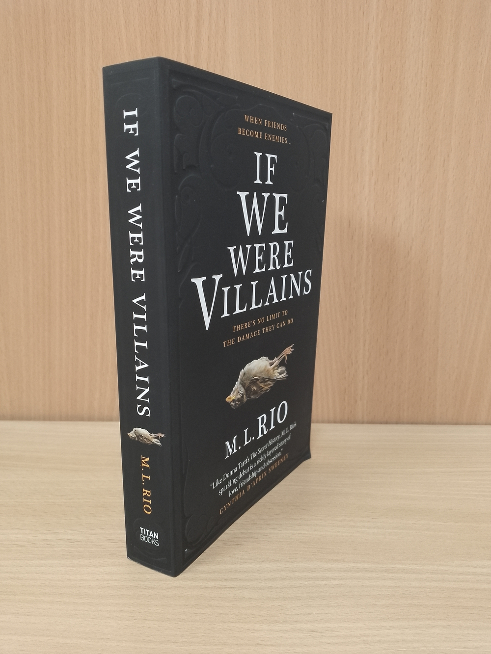 If We Were Villains