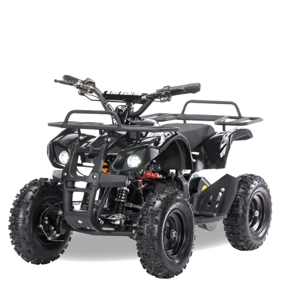 Электроквадроцикл MOTAX Mini Grizlik X-16 1000W