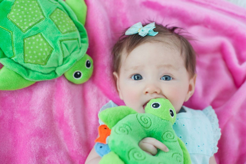 Погремушка Zoocchini Черепашка