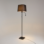 Торшер Maytoni Farel Z001FL-L3W-1B