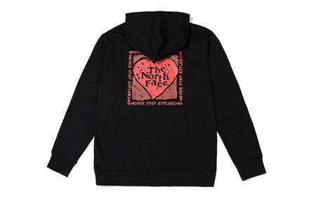 Худи THE NORTH FACE Logo, NF0A81MS-JK3