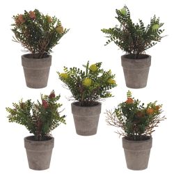 GAEM Цветочная композиция, L9 W9 H18 см, 5в.