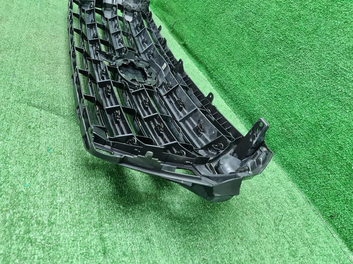 Решетка радиатора Toyota Land Cruiser 200 (15-21)