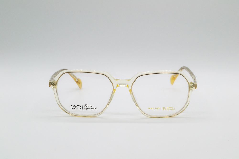 Изг. оправы William Morris Black Label WALTER C3 54/17