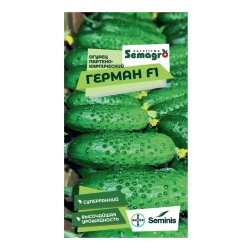 Огурец Герман SEMENIS 95=