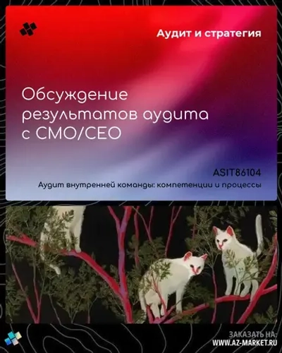 Обсуждение результатов аудита с CMO/CEO