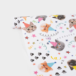 Упаковочная бумага «Котики» 0,7×1 м, 80 г/м²