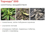 ГЛИФОСАТ Торнадо 500,ВР (500г/л)