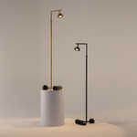 Торшер светодиодный Maytoni Pikant MOD372FL-L10B3K