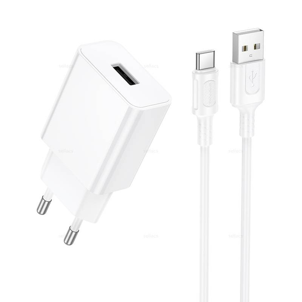 Зарядное устройство на Type-C Borofone BA110A (white)