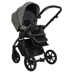 Детская коляска Roan Bass Next 2 в 1 RN027/1 Titanium