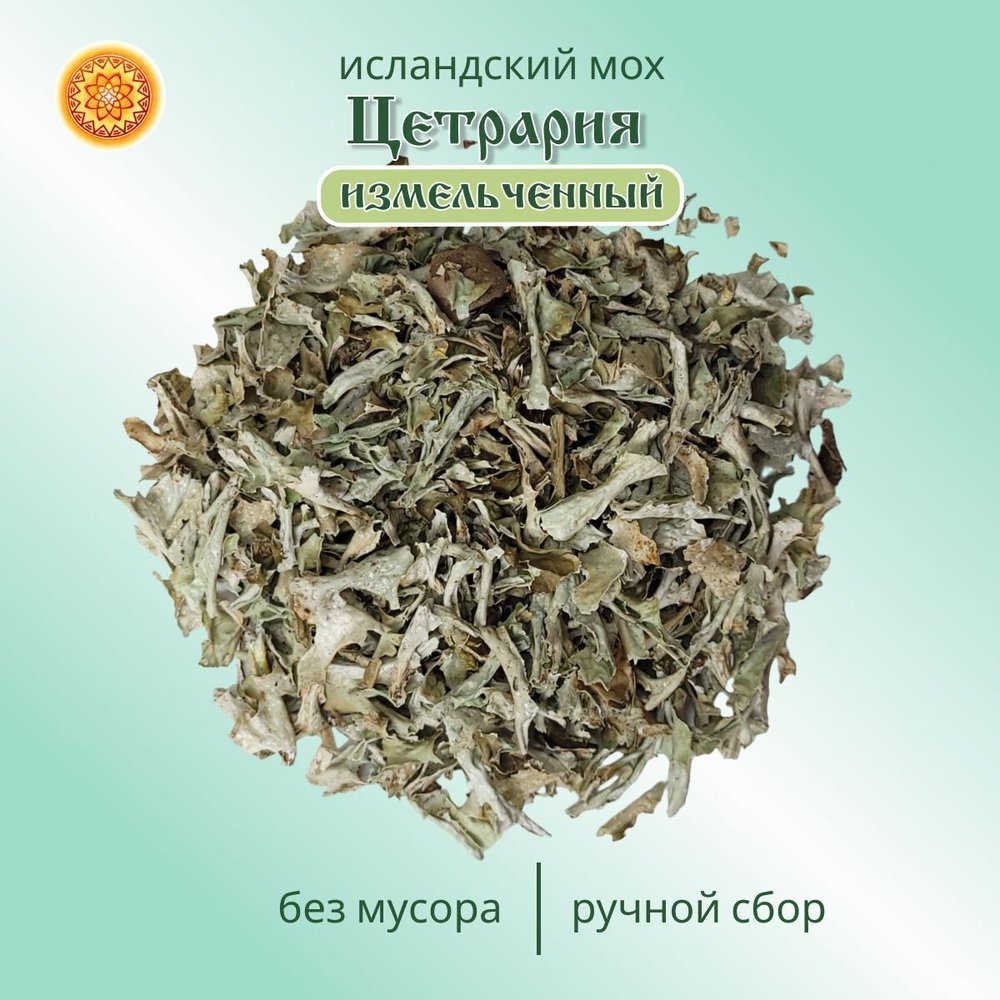 Исландский мох цетрария. Измельченный.