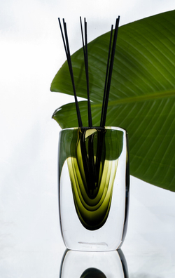 nan Диффузор ABYSSIAN Lunare Прозрачный / Зеленый