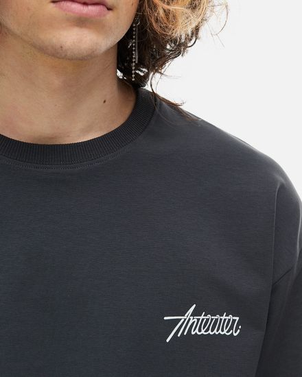 Лонгслив ANTEATER Phat Double 108 серый