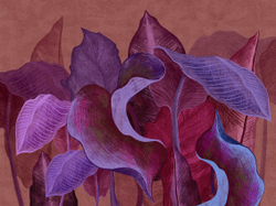 Коллекция SUMMERTIME