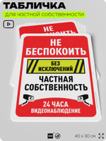 Табличка для частной территории "Не беспокоить, частная собственность", на дом, для участка, организаций, предупреждающая, 40х30 см, Silver Plane x Айдентика Технолоджи