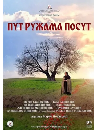 Путь, усыпанный розами (2013) (DVD-R)