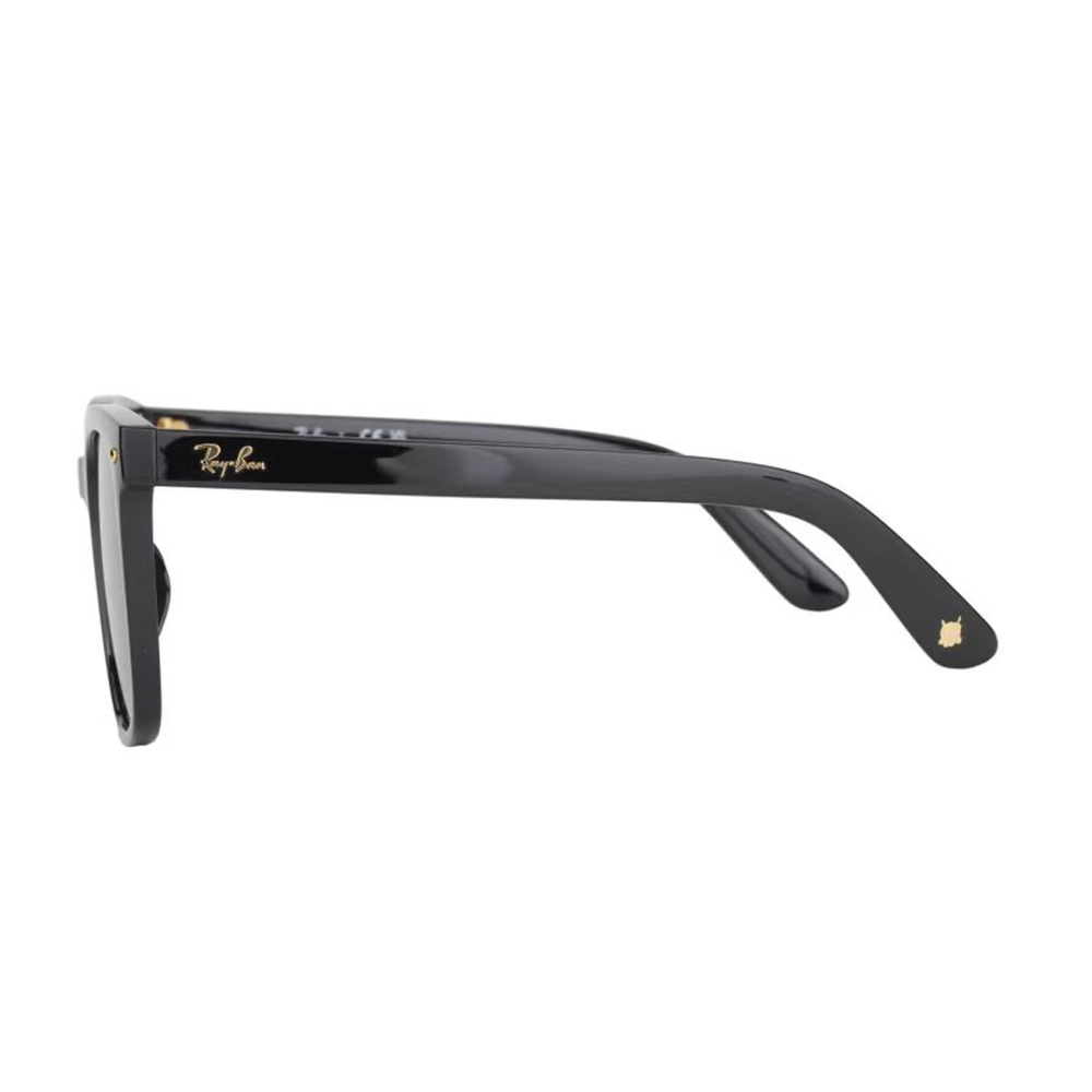 Очки RayBan Logo, ORB4401D-6757/87