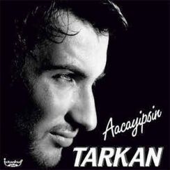 Vinil \ Пластинка \ Vynil Tarkan - AACAYİPSİN / LP