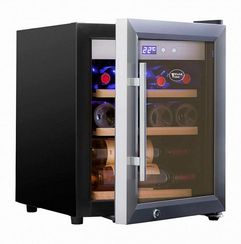 Винный холодильник Cold Vine C12-KSF1