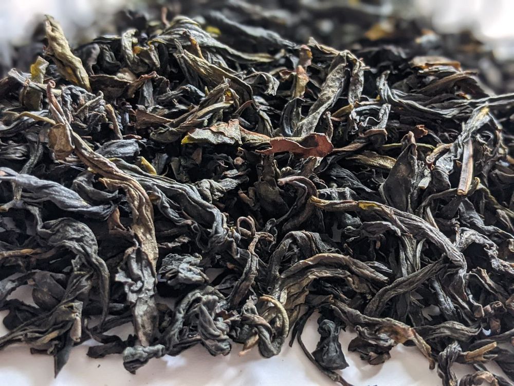 Водяная Черепаха (Шуй Цзинь Гуй)