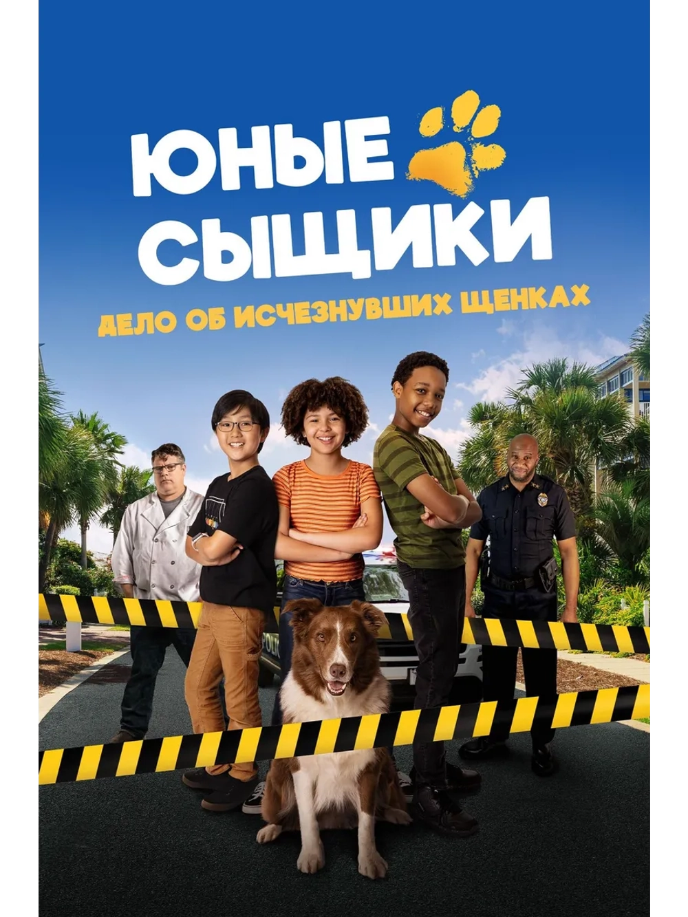 Юные сыщики. Дело об исчезнувших щенках (2025) (DVD-R)