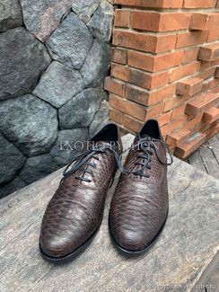 Мужские туфли из кожи питона SH-139